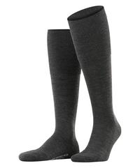 Falke Socken Herren - anthra.mel (3080)