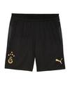 PUMA Galatasaray Istanbul Short Kids Fu&szlig;ballshorts Kinder - schwarz