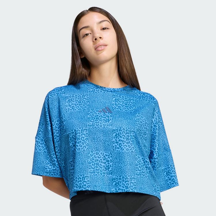 adidas adidas Future Icons All Over T-Shirt T-Shirt Kinder - Ray Blue / Dusky Petrol / Dusky Petrol - 0 | SportScheck