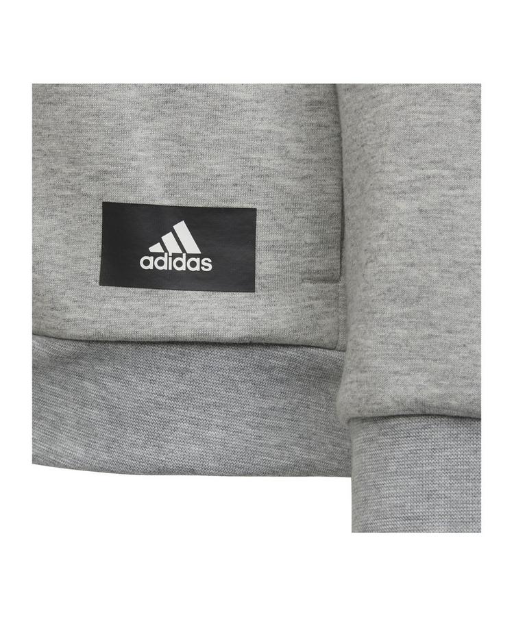 adidas adidas Future Icons Kapuzenjacke Kids Sweatshirt Kinder - grauweiss - 1 | SportScheck