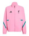 adidas FC Liverpool Anthem Jacke Kids Trainingsjacke Kinder - rosa