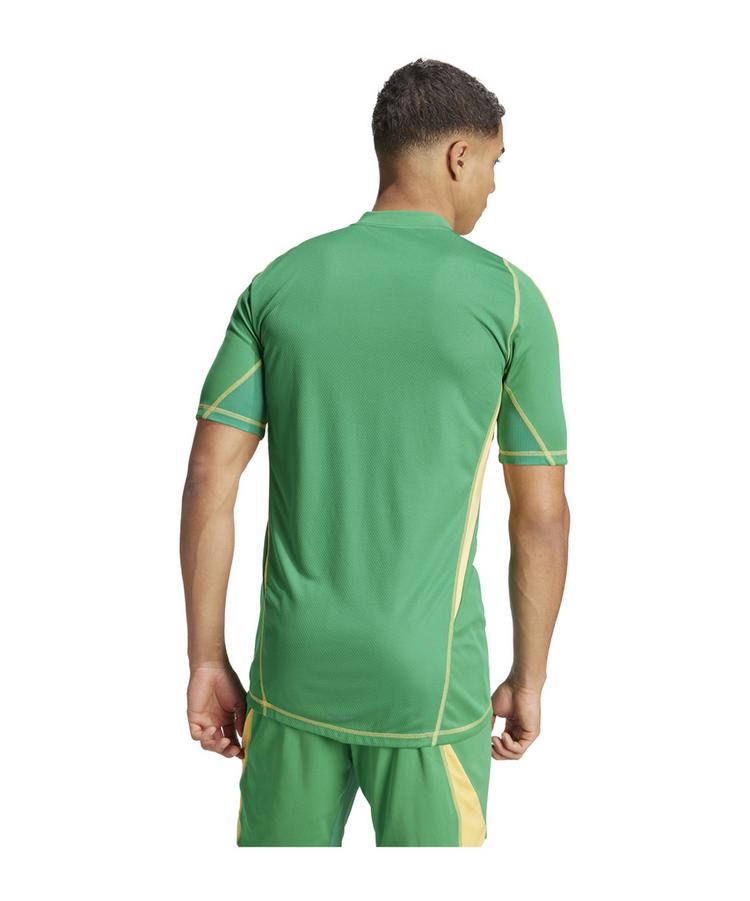 adidas adidas Tiro 24 Pro Torwarttrikot Trikot Herren - gruen - 1 | SportScheck