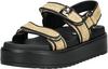 Steve Madden Sandalen Sandalen Damen - Schwarz/Beige