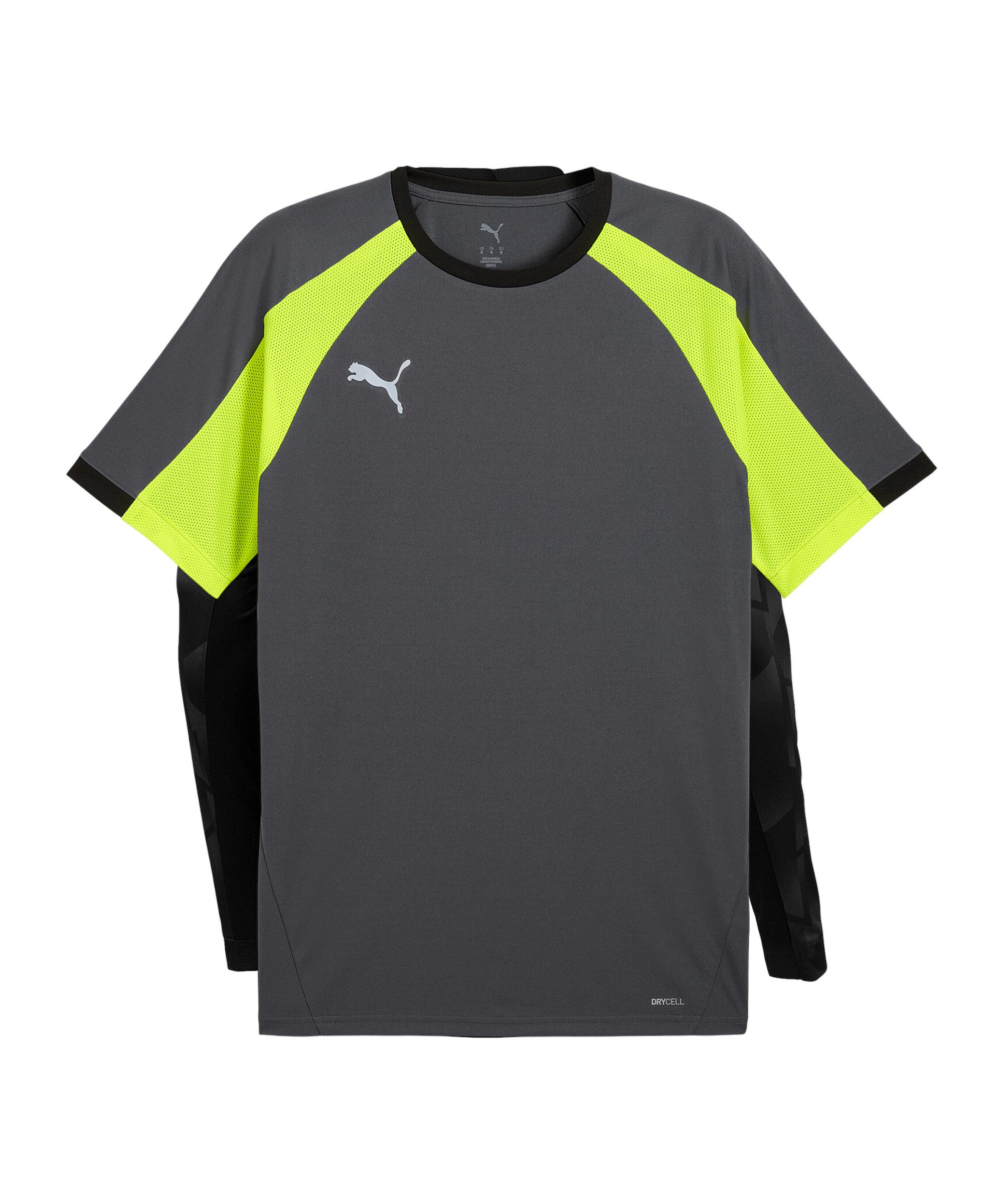 PUMA Trikot Funktionsshirt Herren - grau