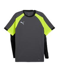 PUMA Trikot Funktionsshirt Herren - grau