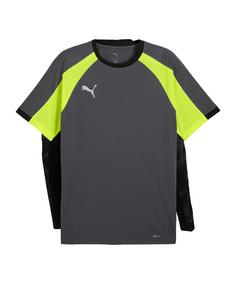 PUMA Trikot Funktionsshirt Herren grau