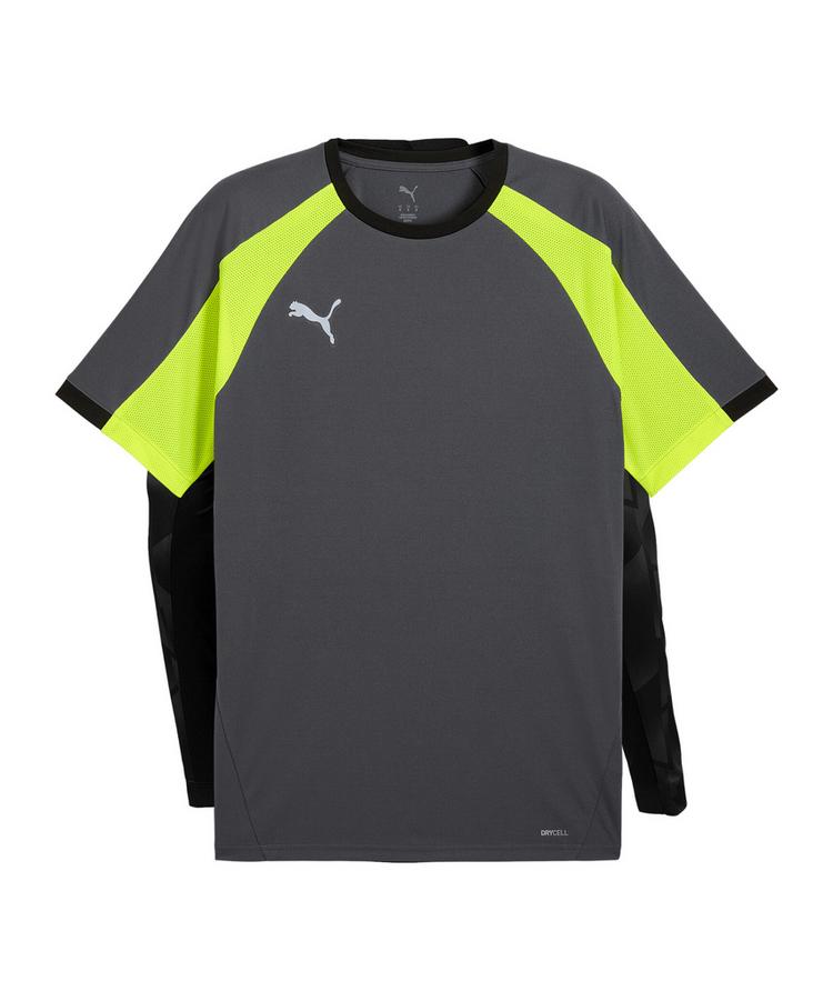 PUMA PUMA Trikot Funktionsshirt Herren - grau - 0 | SportScheck