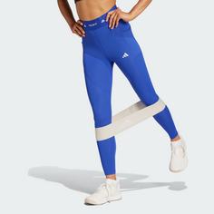 Rückansicht von adidas TECHFIT COLD.RDY Full-Length Leggings Leggings Damen Semi Lucid Blue