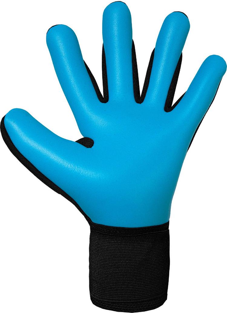 Reusch Reusch Attrakt Freegel Aqua Torwarthandschuhe - 7126 blck/shock orng/aqua blu - 1 | SportScheck