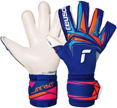 Reusch Attrakt Gold X Evolution Torwarthandschuhe 4126 sharp blu/wht/shock orng