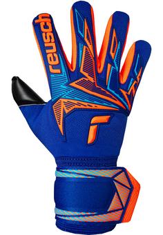 Rückansicht von Reusch Attrakt Freegel Duo NC Torwarthandschuhe 4127 sharp blu/shock orng/blck