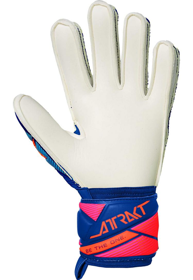 Reusch Reusch Attrakt Advance Junior Torwarthandschuhe - 4126 sharp blu/wht/shock orng - 1 | SportScheck