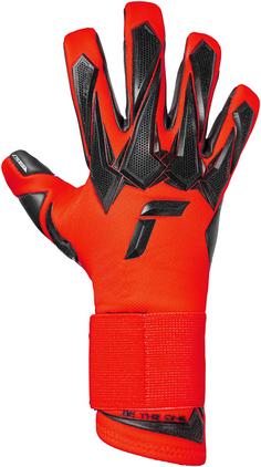 Rückansicht von Reusch Raptor Pro Torwarthandschuhe 3335 bright red / black
