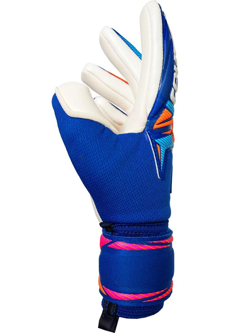 Reusch Reusch Attrakt Gold X NC Junior Profi Torwarthandschuhe - 4126 sharp blu/wht/shock orng - 0 | SportScheck