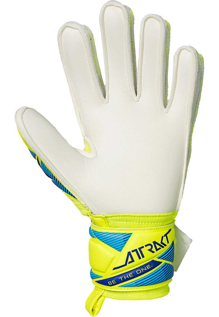 Reusch Reusch Attrakt Advance Junior Torwarthandschuhe - 2005 safe yellw/sharp blue - 1 | SportScheck