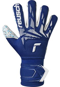 Rückansicht von Reusch Attrakt Freegel Fusion Ortho-Tec Torwarthandschuhe 4414 premium blue/white