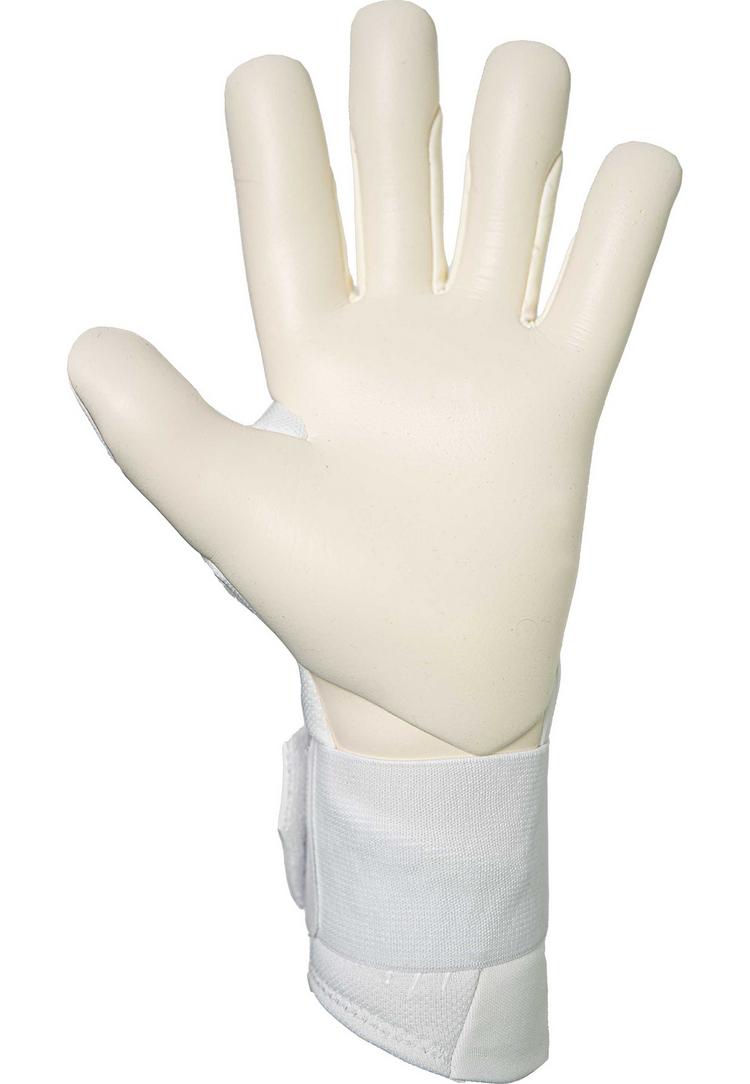 Reusch Reusch Raptor Pro Torwarthandschuhe - 1103 white/silver - 1 | SportScheck