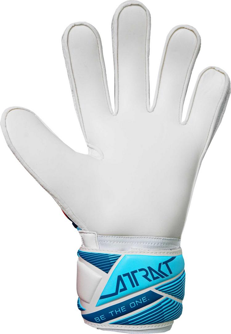 Reusch Reusch Attrakt Solid Torwarthandschuhe - 1080 white/light blue - 1 | SportScheck