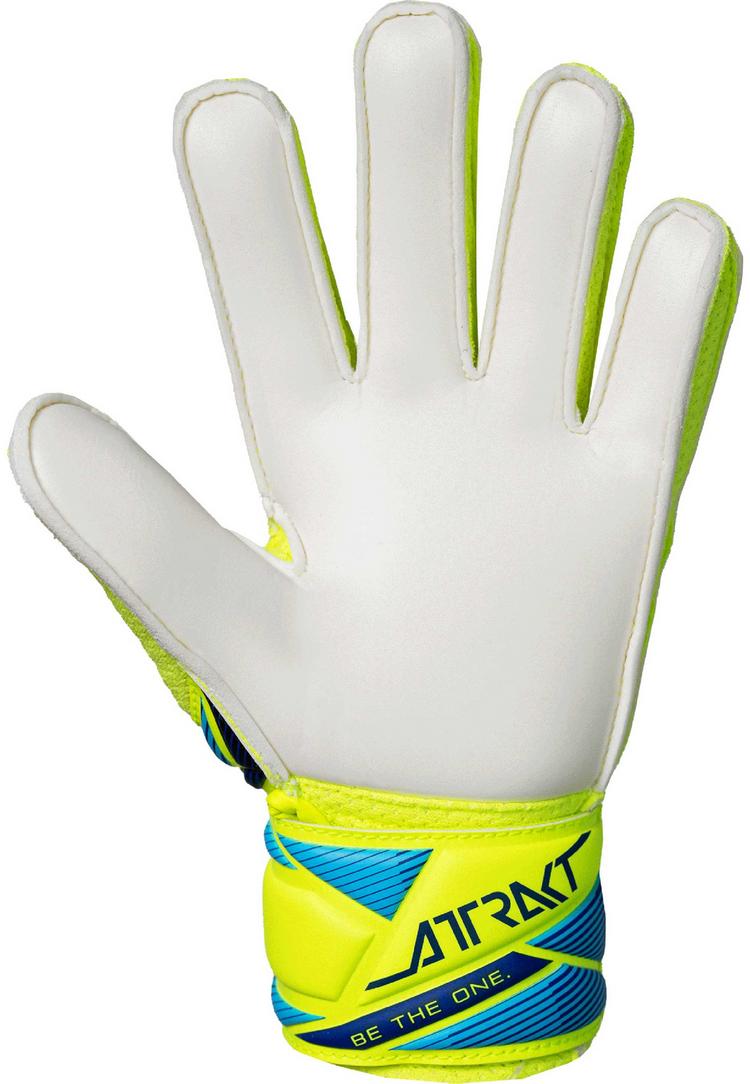 Reusch Reusch Attrakt Solid Junior Torwarthandschuhe - 2005 safe yellw/sharp blue - 1 | SportScheck