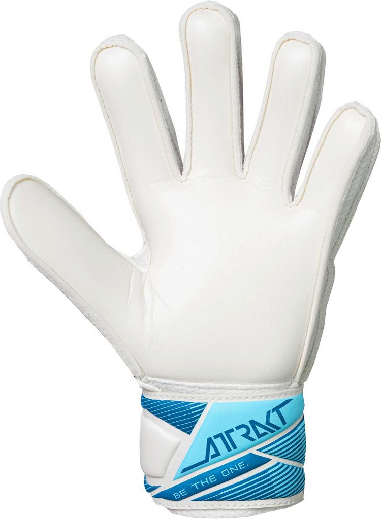 Reusch Reusch Attrakt Solid Junior Torwarthandschuhe - 1080 white/light blue - 1 | SportScheck