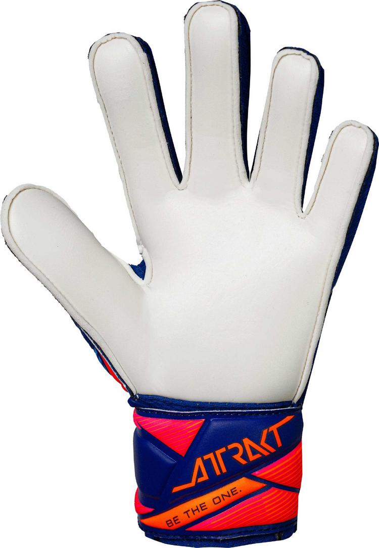 Reusch Reusch Attrakt Solid Junior Torwarthandschuhe - 4126 sharp blu/wht/shock orng - 1 | SportScheck