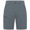 Jack Wolfskin PICO TRAIL SHORTS M Shorts Herren - grey odessa