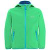 Jack Wolfskin FOURWINDS JACKET KIDS Funktionsjacke Kinder - lizard
