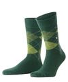 Burlington Preston SO Socken Herren - forest (7450)
