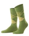 Burlington Preston SO Socken Herren - cactus (7653)