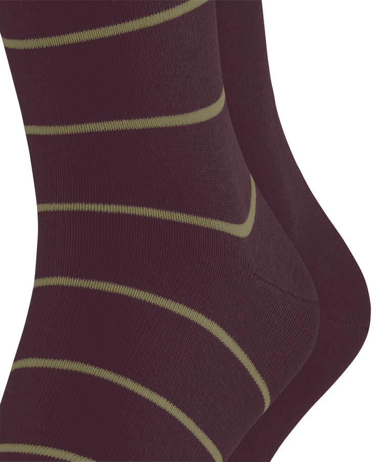 ESPRIT ESPRIT Modern Stripe SO  2-Pack Socken Herren - claret (8375) - 1 | SportScheck