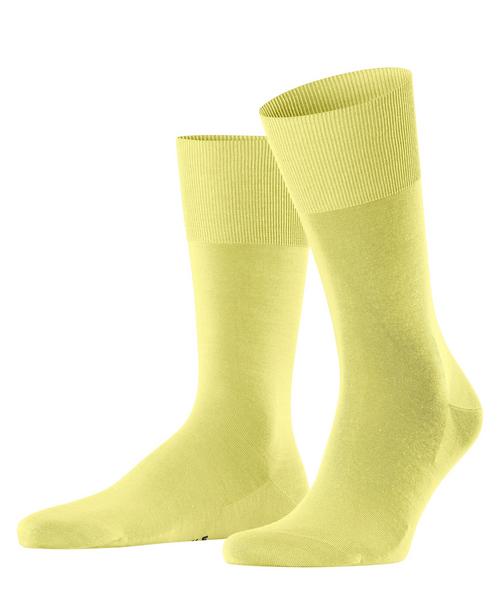 Falke ClimaWool Socken Herren