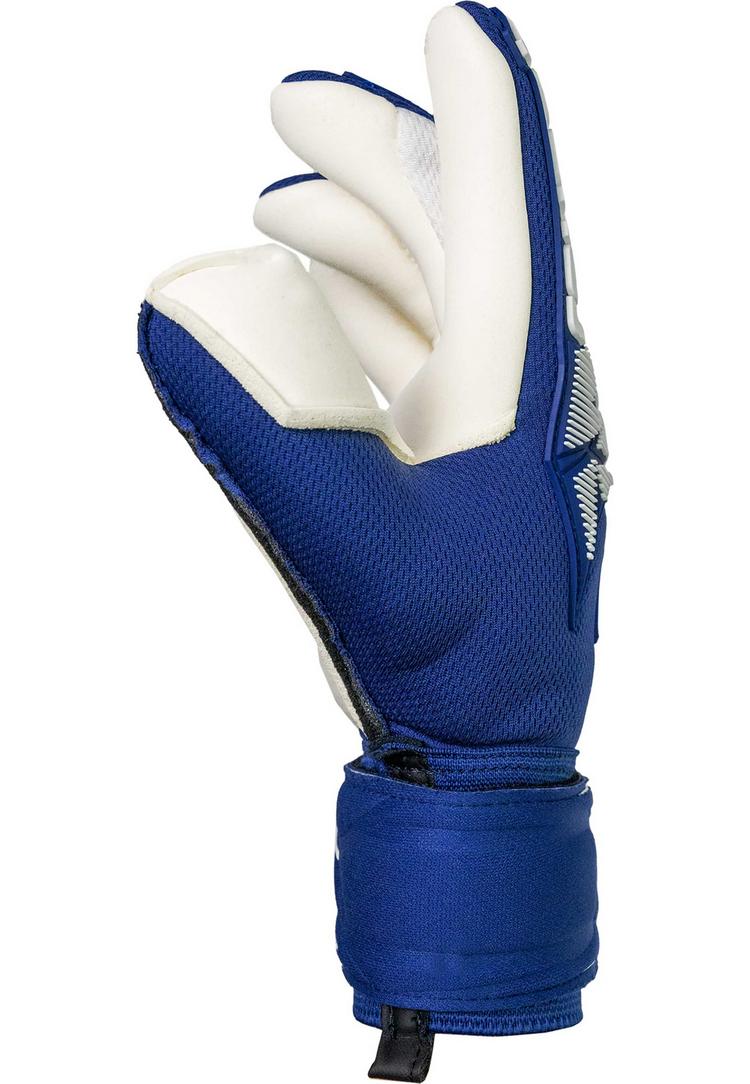 Reusch Reusch Attrakt Gold X Finger Support Junior Torwarthandschuhe - 4414 premium blue/white - 0 | SportScheck