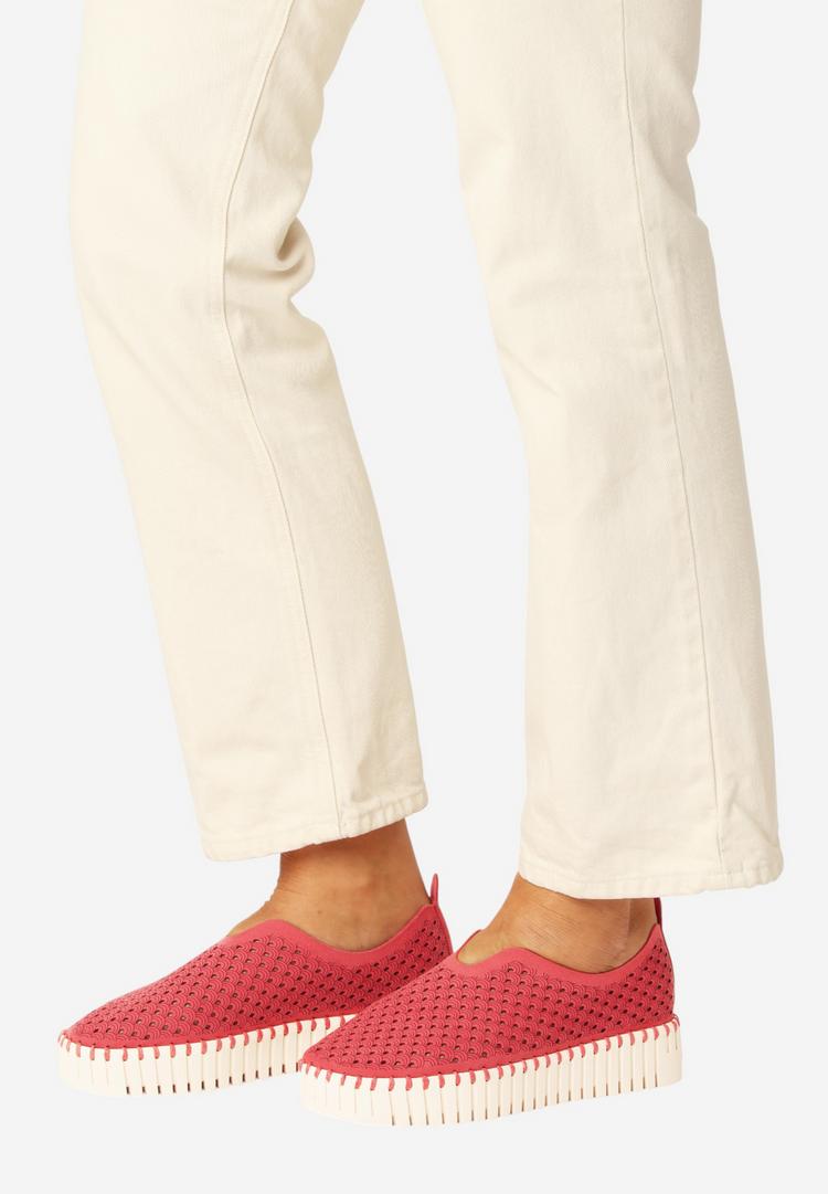 Ilse Jacobsen Ilse Jacobsen TULIP3373 Sneaker Damen - Baked Apple Pearled Ivory - 3 | SportScheck