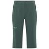 Jack Wolfskin HIKEOUT 3/4 PANTS W Funktionshose Damen - sago palm