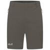 Jack Wolfskin HIKEOUT SHORTS M Shorts Herren - flint