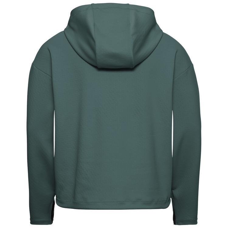 Jack Wolfskin Jack Wolfskin ASTROTRAIL HOODY W Fleecepullover Damen - sago palm - 0 | SportScheck