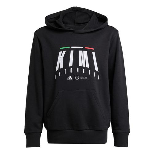 adidas Mercedes - AMG Petronas Formula One Hoodie Kinder