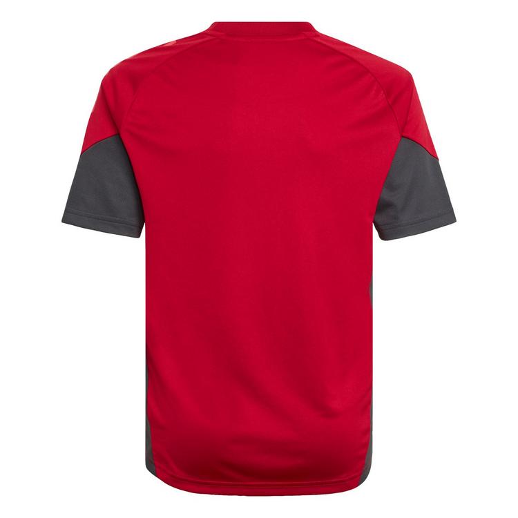 adidas adidas FC Liverpool Tiro 25 Competition Kids Teamtrikot Kinder - Strawberry Red - 0 | SportScheck