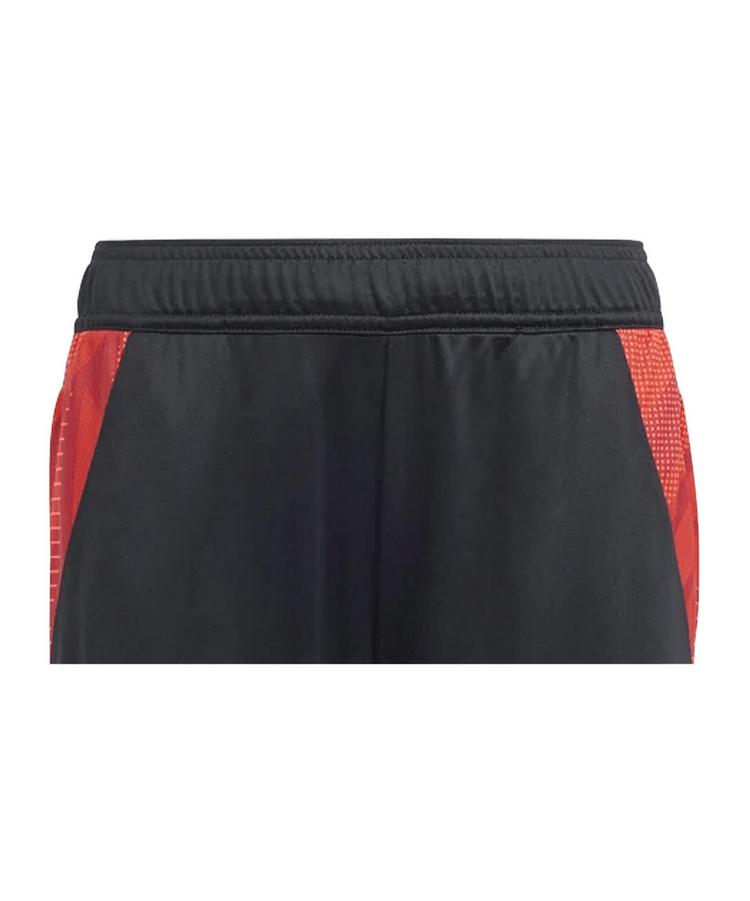 adidas adidas 1.FC N&uuml;rnberg Trainingsshort Kids Fu&szlig;ballshorts Kinder - schwarz - 1 | SportScheck