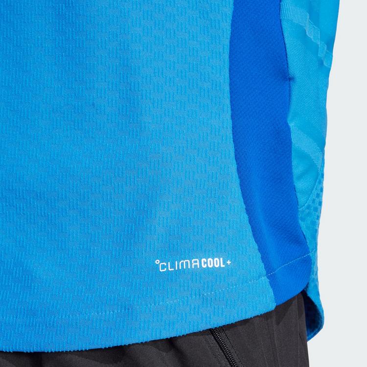 adidas adidas Indien Cricket One Day International Trikot Herren - True Blue - 3 | SportScheck