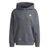 adidas MERCEDES - AMG PETRONAS FORMULA ONE Hoodie Herren - Dark Grey Heather