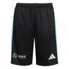 adidas MERCEDES - AMG PETRONAS FORMULA ONE Bermudas Kinder - Black / White