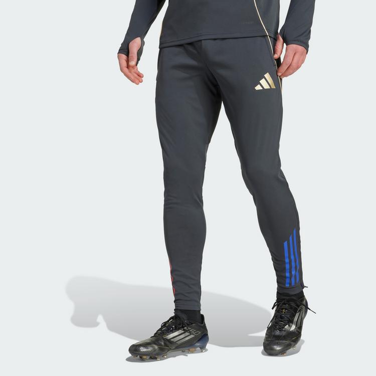 adidas adidas Olympique Lyon Tiro 25 Competition Trainingshose Herren - Carbon / Hazy Beige - 0 | SportScheck