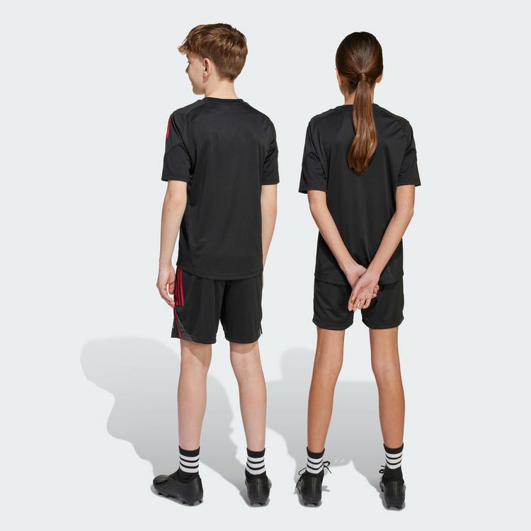 adidas adidas Ajax Tiro 25 Competition Kids Funktionsshorts Kinder - Black / White / Bold Red - 2 | SportScheck