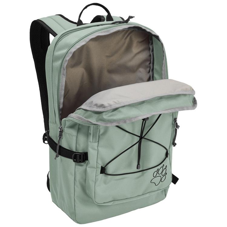 Jack Wolfskin Jack Wolfskin BERKELEY 24 Daypack - green zinnia - 2 | SportScheck