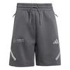 adidas Mercedes &ndash; AMG Petronas Formula One Fahrradshorts Kinder - Grey Five