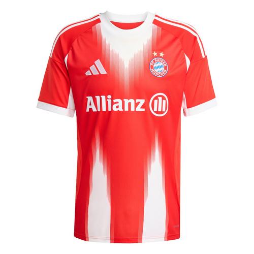 adidas FC Bayern M&uuml;nchen 25/26 Frauenteam Teamtrikot Herren