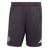 adidas Manchester United Tiro 25 Competition Fu&szlig;ballshorts Herren - Aurora Black / Purple Tint