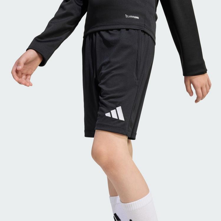 adidas adidas Entrada 26 Kids Trainingsshorts Fu&szlig;ballshorts Kinder - Black / White - 0 | SportScheck