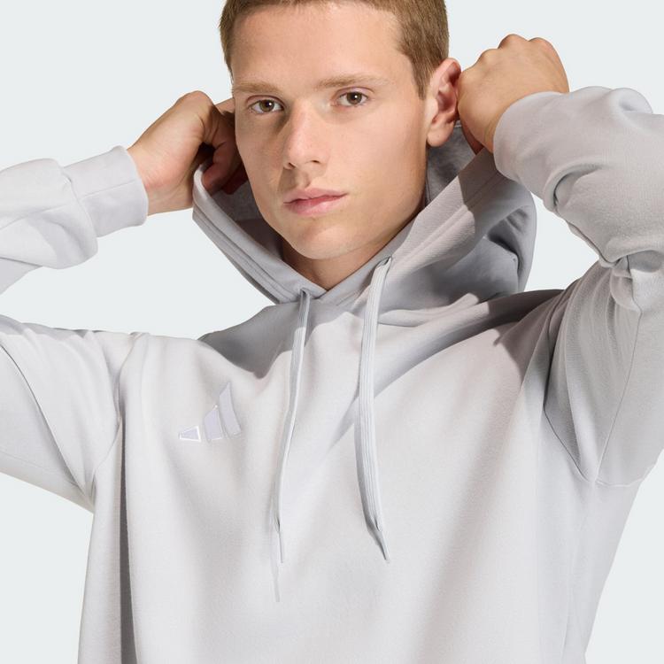 adidas adidas Entrada26 Hoodie Hoodie Herren - Team Light Grey / White - 0 | SportScheck